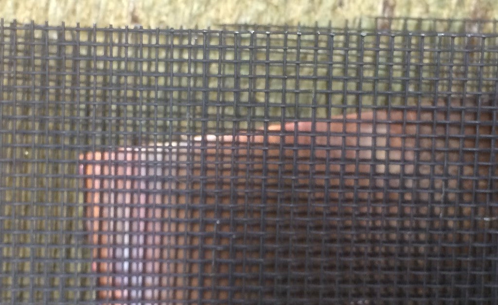 Copper Basket Weave Earrings