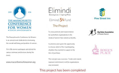 About the Project