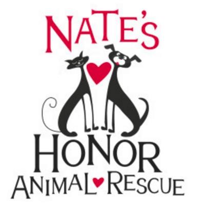 2 Blanket Project - Nate's Honor Animal Rescue